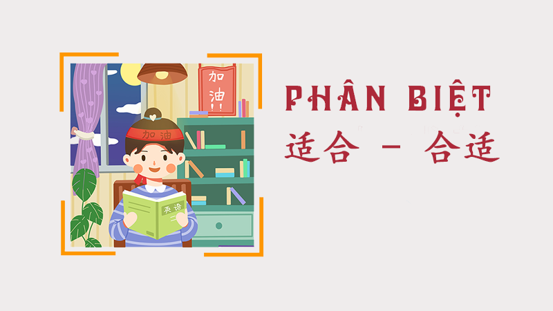 phan-biet-合适-heshi-适合-shihe